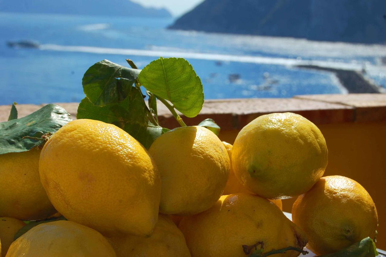 La Terrazza Sul Mare Alojamento de Acomodação e Pequeno-almoço