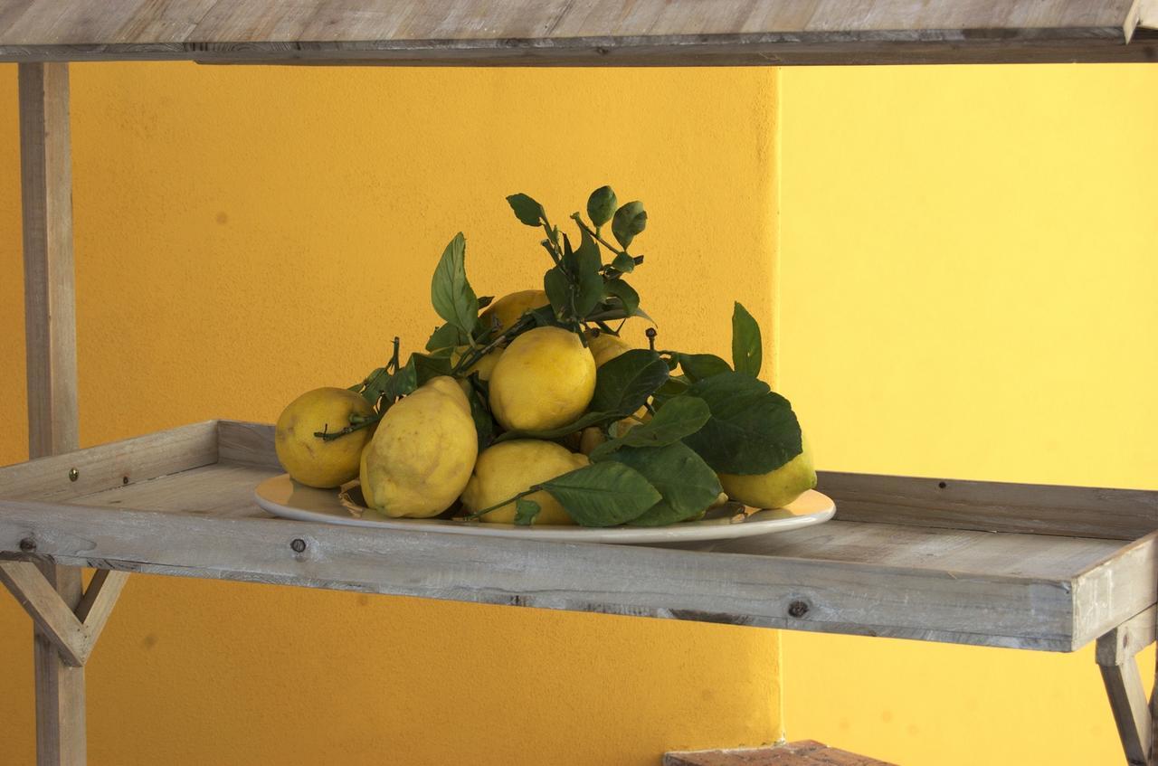 Alojamento de Acomodação e Pequeno-almoço La Terrazza Sul Mare Capri