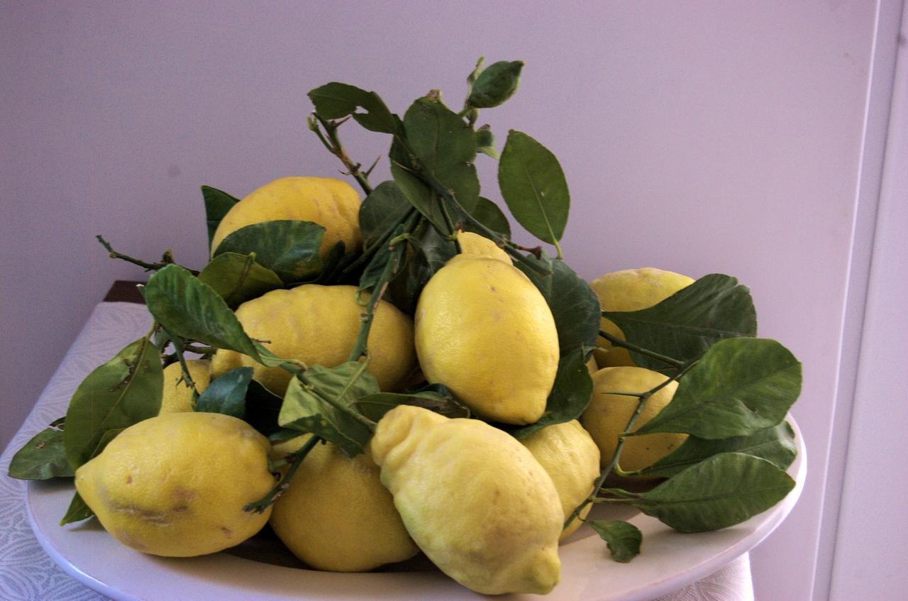 Alojamento de Acomodação e Pequeno-almoço La Terrazza Sul Mare